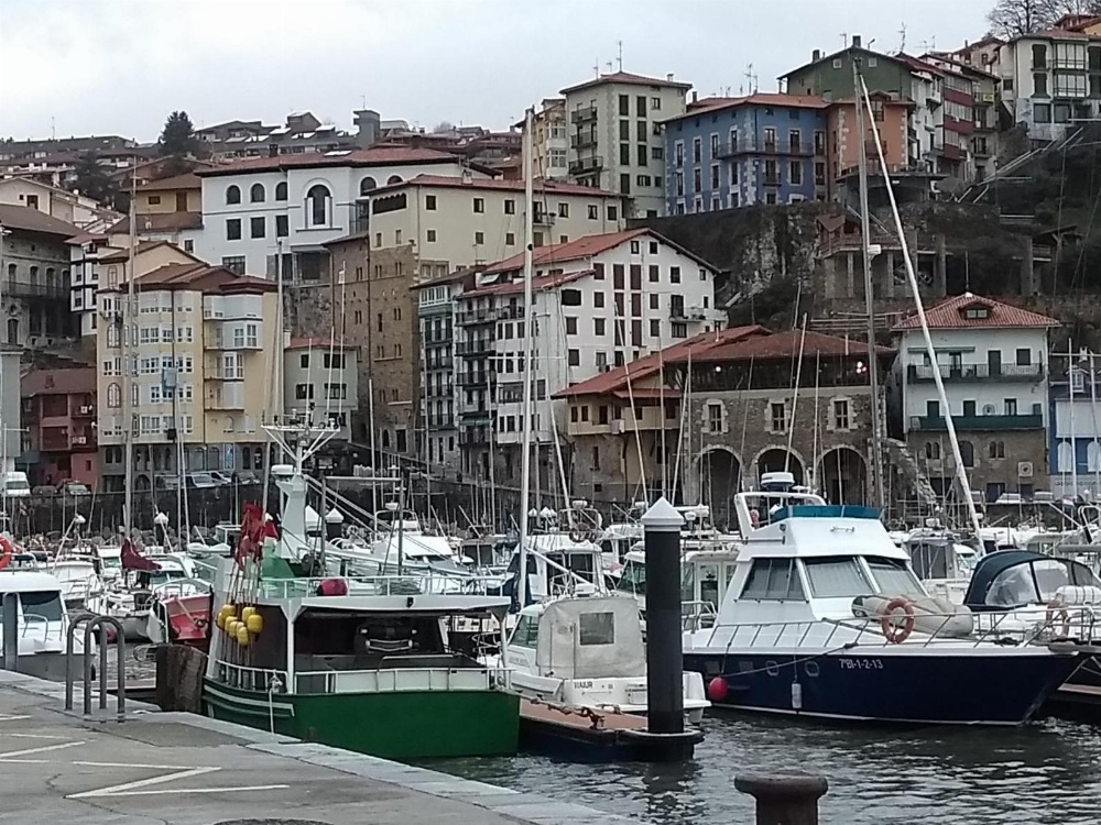 Hotel Arbe Main image